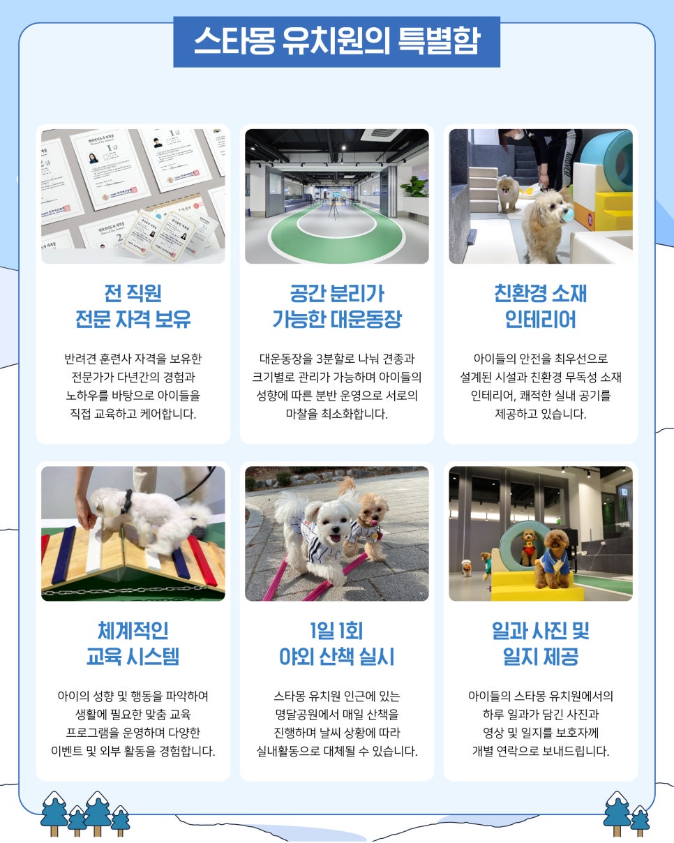 서울 애견호텔 추천: 봉자 3박 4일 스타몽 호텔 후기 — 사진 7