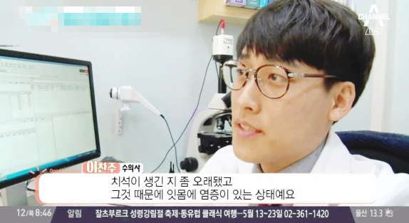 용인 고양이 구내염 전발치, 5살 페르시안 회복 후기 — 사진 2
