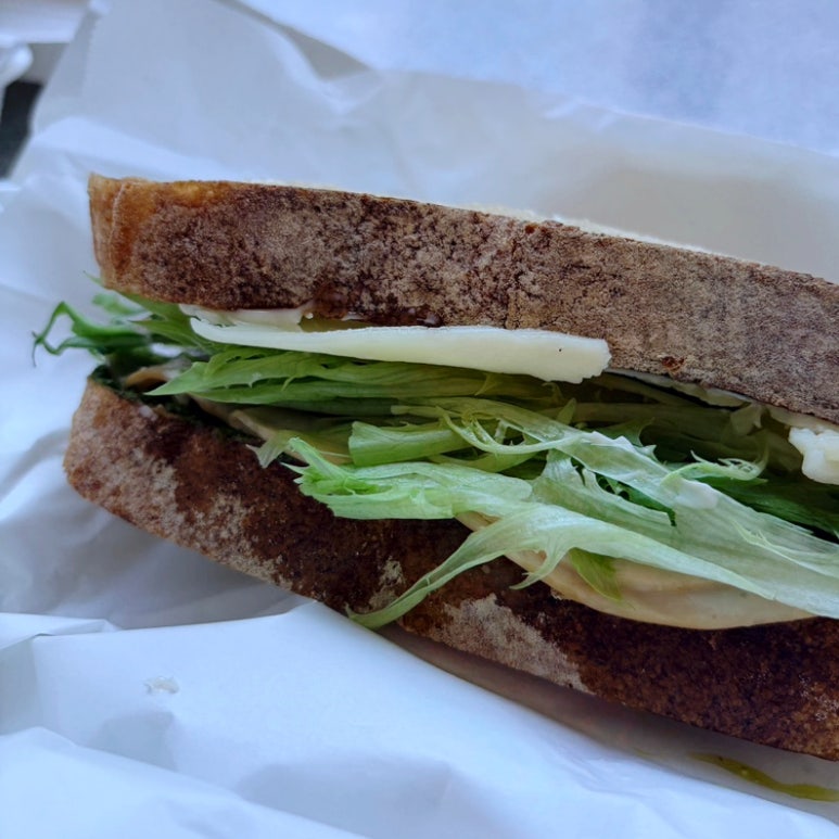 치카디 사진 6
