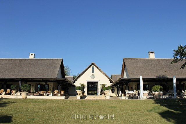 디디디 애견놀이방: 성남 수정구 위치와 이용 정보 — 사진 3