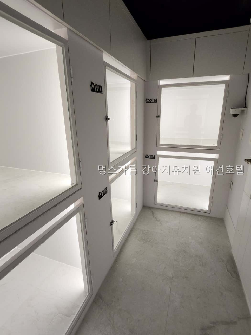 성남 멍스가든 강아지유치원·호텔, 장기 맡길 때 핵심 조건 — 사진 3
