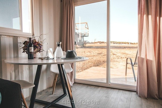디디디 애견놀이방: 성남 수정구 위치와 이용 정보 — 사진 4