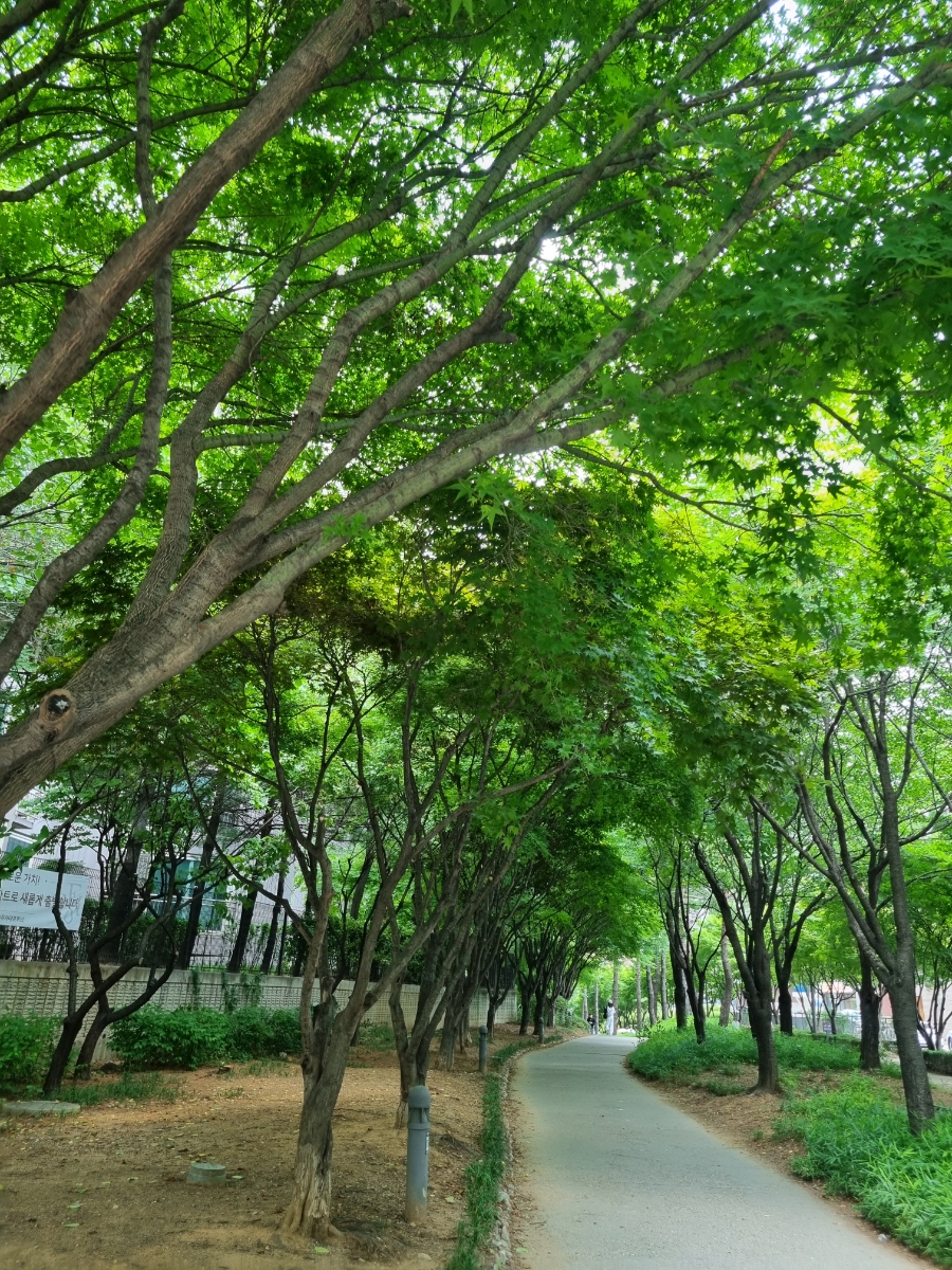 숲길돈가스 사진 4