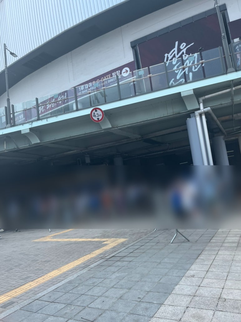 데이라이트 사진 8