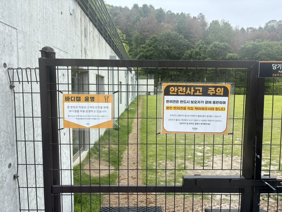 춘천 강아지숲 네이처풀: 여름 물놀이 가격 및 시설 완벽 가이드 — 사진 5