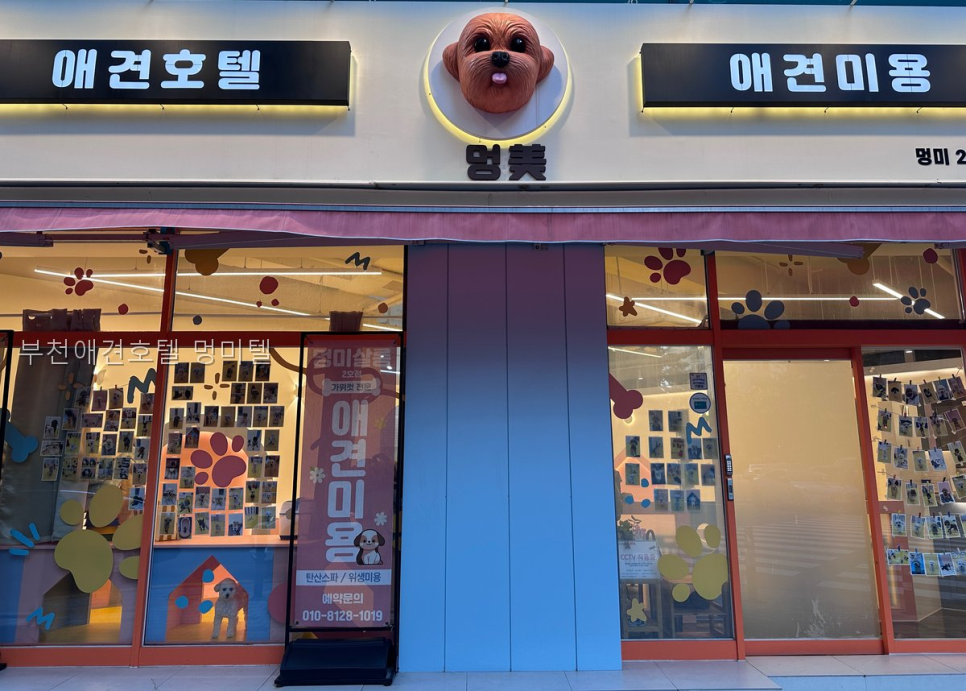 부천 애견호텔 멍미텔: VIP 개별실 & CCTV 완비 — 사진 3