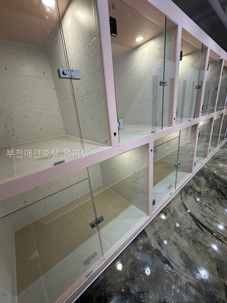 부천 애견호텔 멍미텔: VIP 개별실 & CCTV 완비 — 사진 2