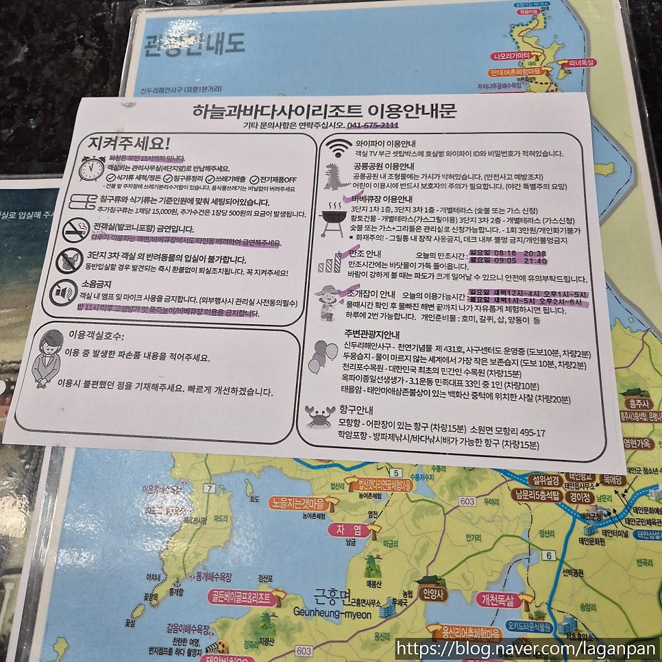 태안 반려견 동반 리조트 '하늘과 바다사이' 후기 — 사진 4