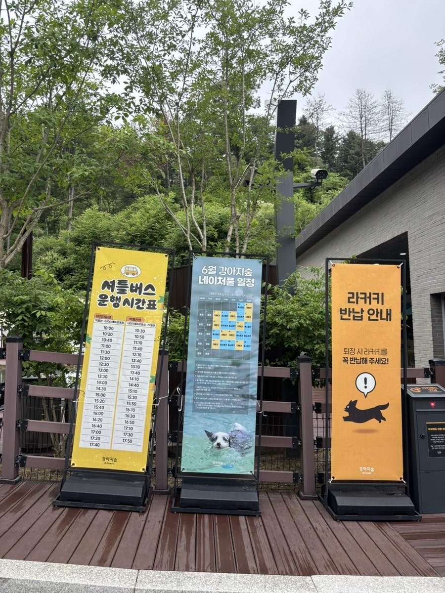 춘천 강아지숲 네이처풀: 여름 물놀이 가격 및 시설 완벽 가이드 — 사진 2