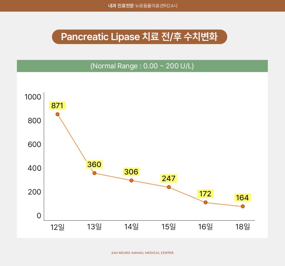 강아지 당뇨병성 케톤산증(DKA) 치료 및 관리 방법 — 사진 7