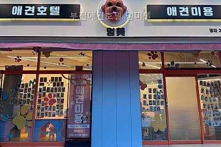 부천 애견호텔 멍미텔: VIP 개별실 & CCTV 완비 — 사진 5
