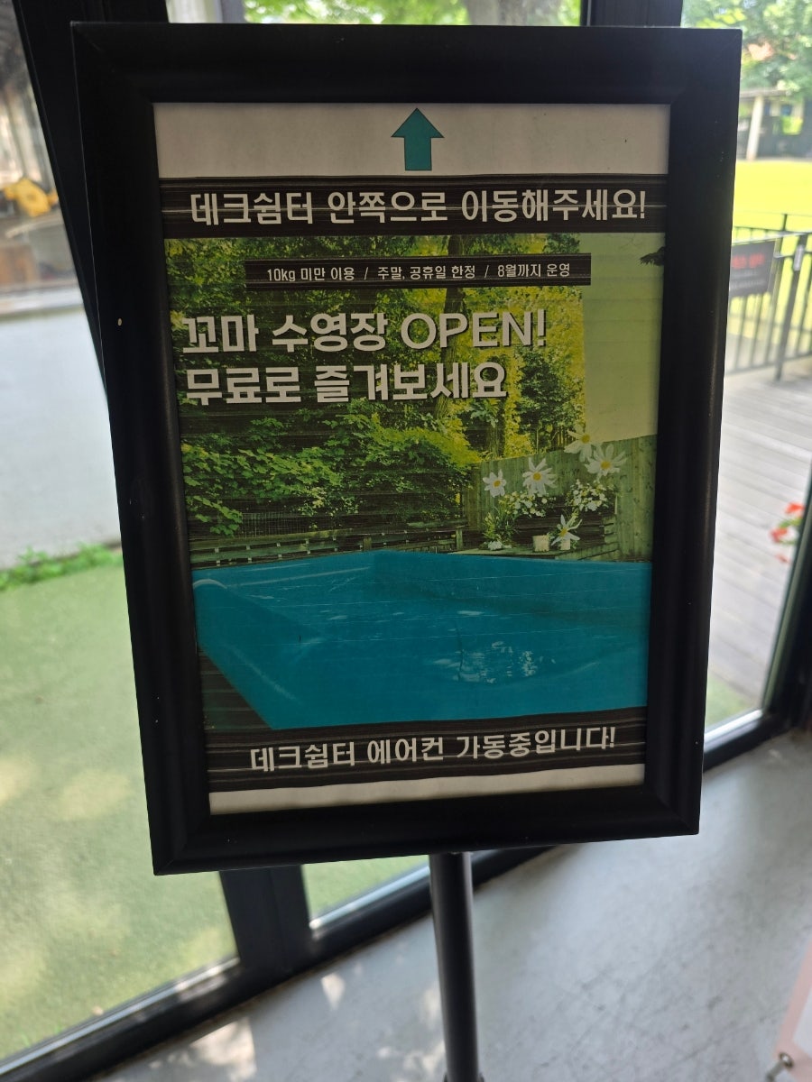 양주 네이처독 중형견 운동장 첫 방문 후기 — 사진 6