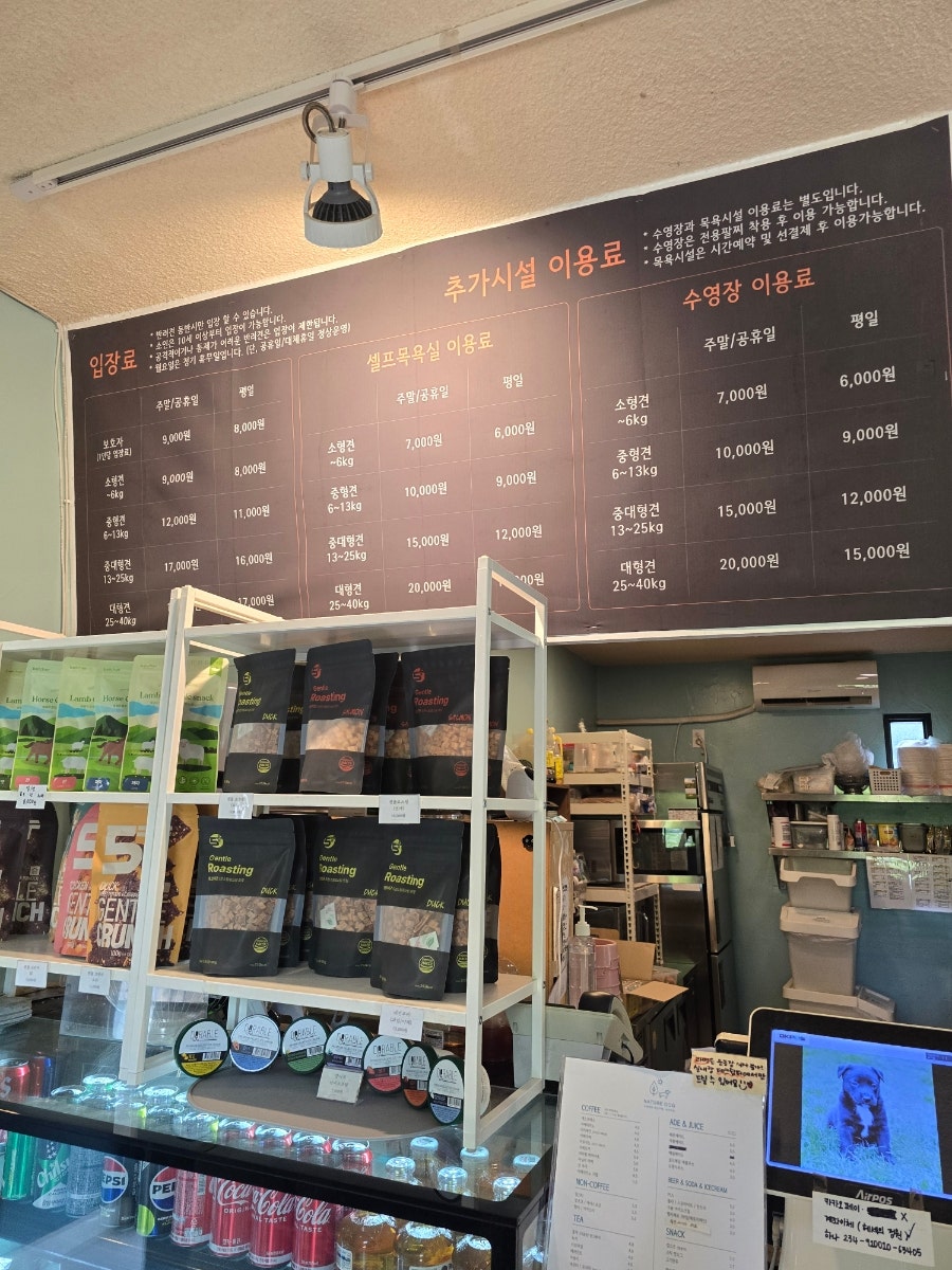 양주 네이처독 중형견 운동장 첫 방문 후기 — 사진 3