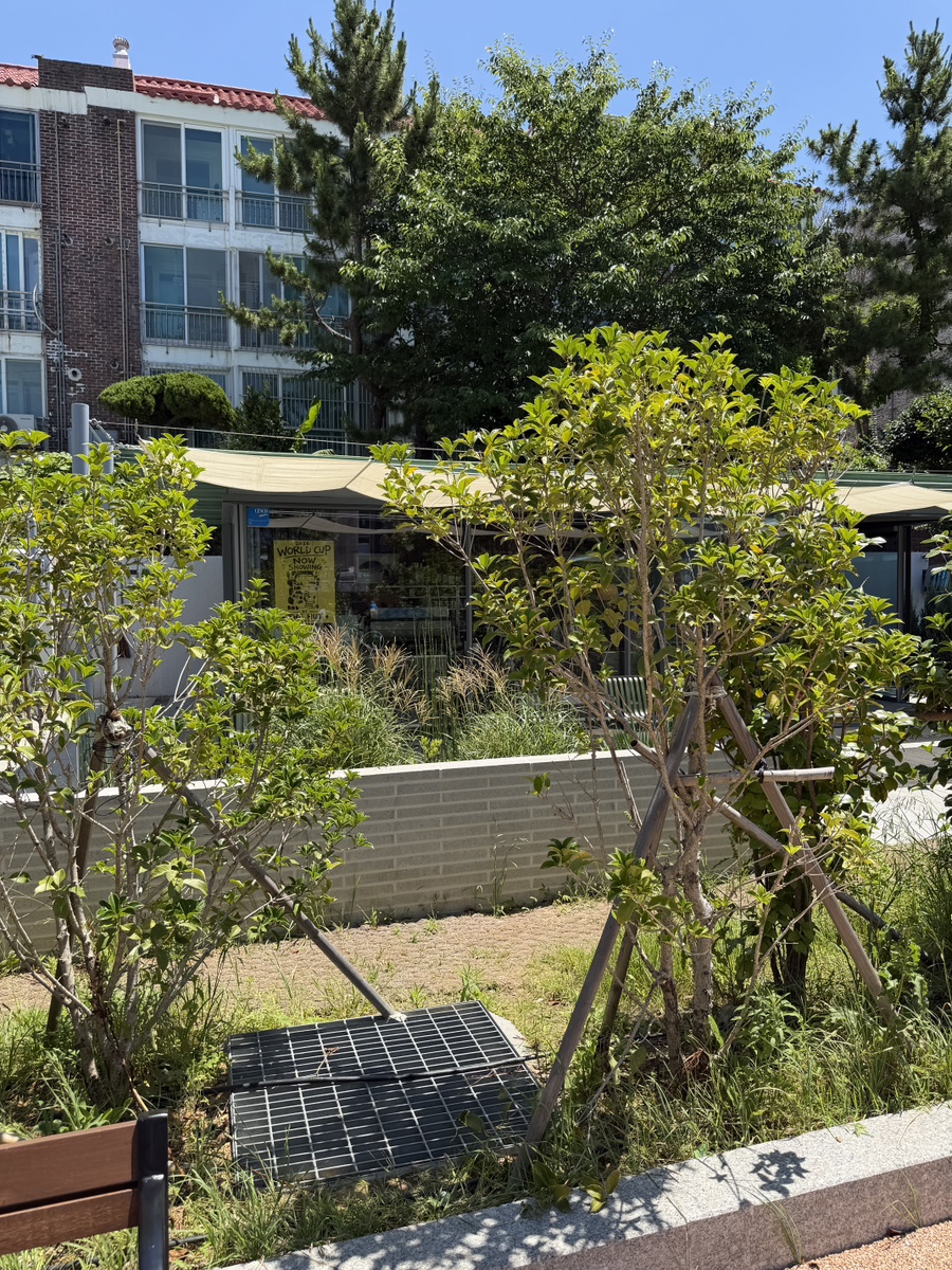 부산 해운대 애견동반 카페, 조용한 분위기 속 편안한 시간 — 사진 9