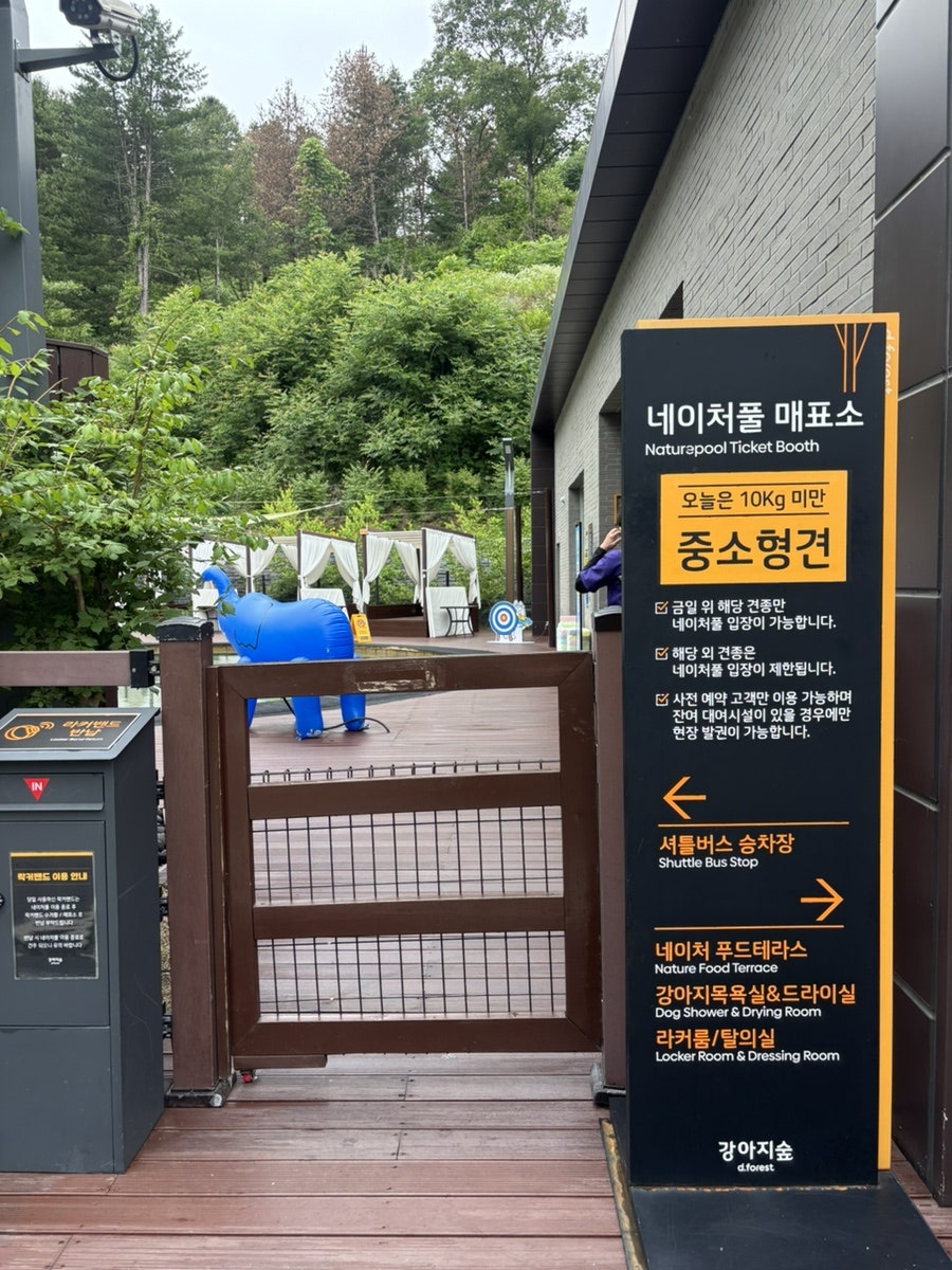 춘천 강아지숲 네이처풀: 여름 물놀이 가격 및 시설 완벽 가이드 — 사진 7