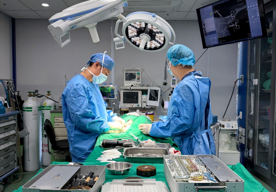 강아지 십자인대 파열 TPLO 수술 비용 및 회복 과정 안내 — 사진 4