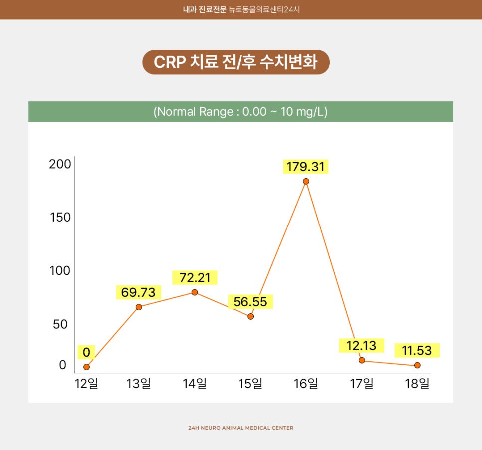 강아지 당뇨병성 케톤산증(DKA) 치료 및 관리 방법 — 사진 6