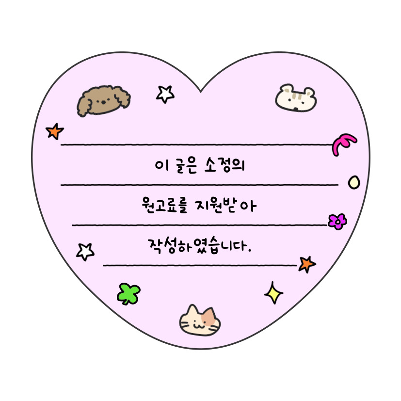 대구 애견호텔 슈슈네, 시설 직접 보고 결정했어요