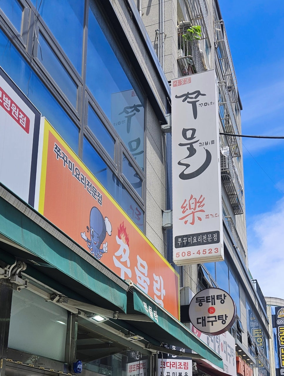 쭈물락 사진 2