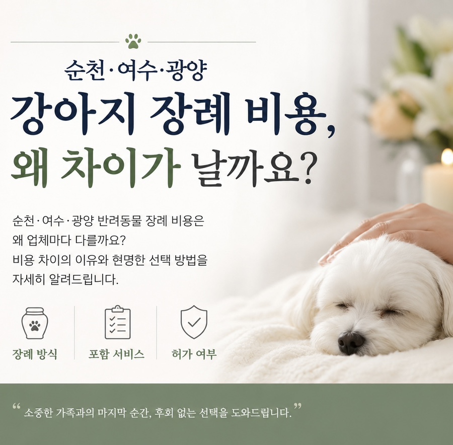순천 강아지 장례 비용, 개별 화장 절차 및 후기 비교