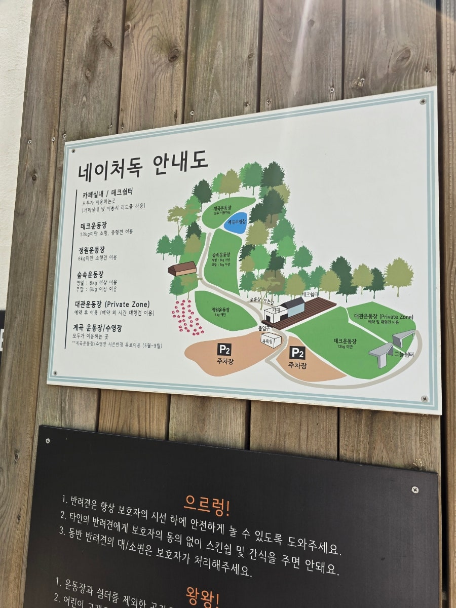 양주 네이처독 중형견 운동장 첫 방문 후기 — 사진 2