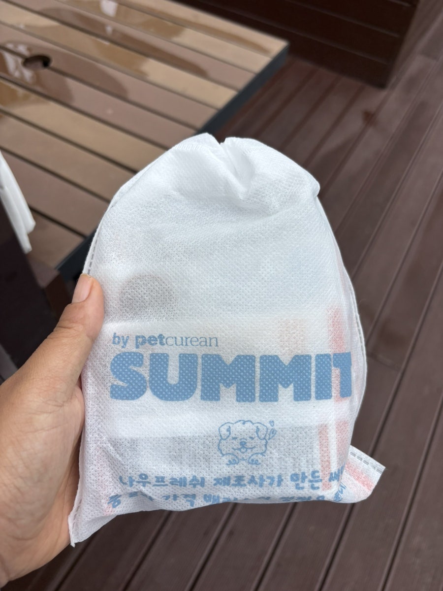 춘천 강아지숲 네이처풀: 여름 물놀이 가격 및 시설 완벽 가이드 — 사진 8