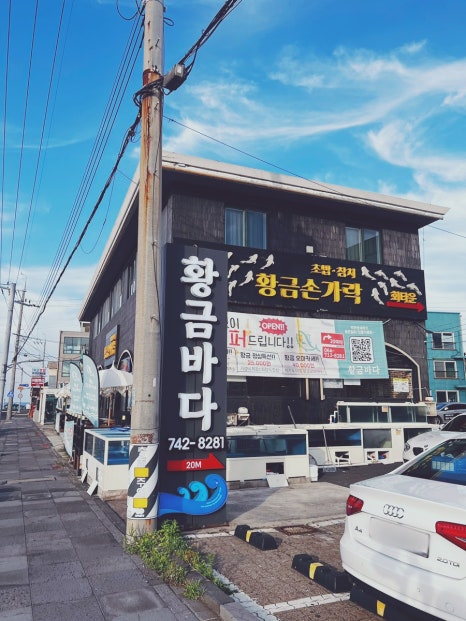 황금바다 사진 6