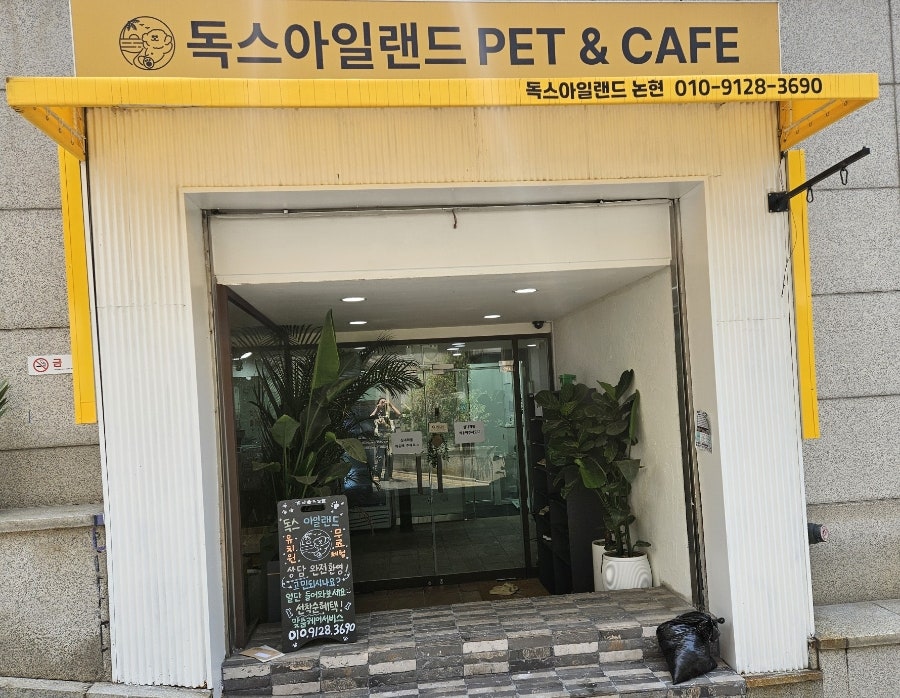 강남 강아지 유치원 독스아일랜드, 학동역 호텔링 비용 — 사진 2