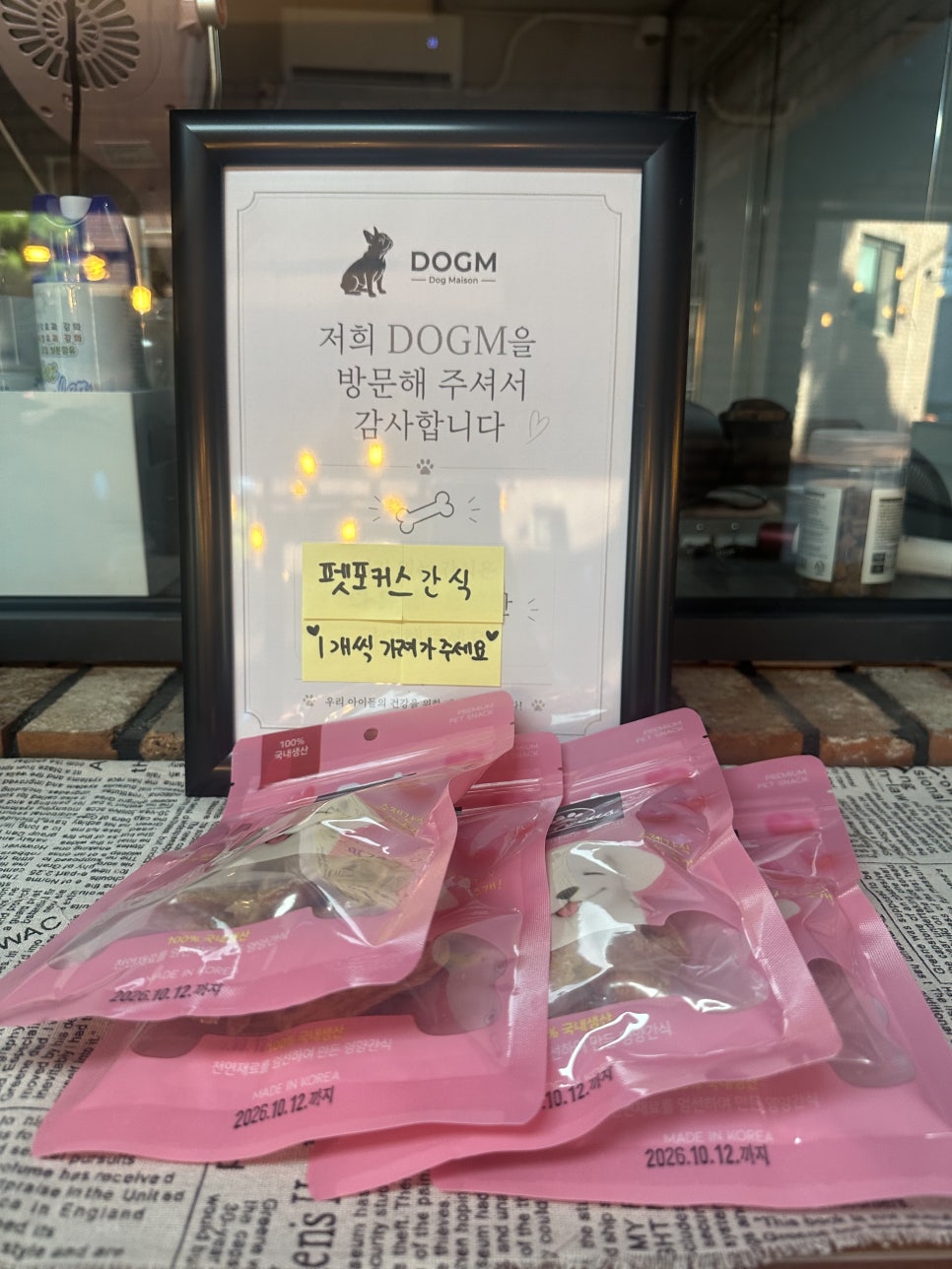 역삼 애견미용 디오지엠: 편안한 분위기 & 꼼꼼한 관리 후기 — 사진 5