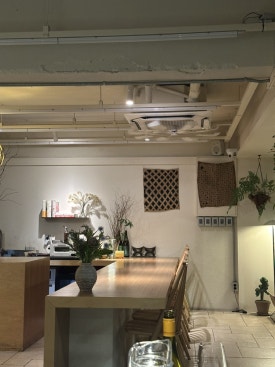 피공일 사진 7