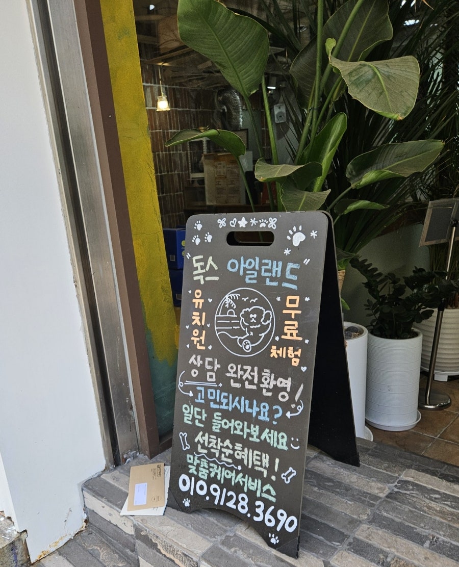 강남 강아지 유치원 독스아일랜드, 학동역 호텔링 비용 — 사진 3
