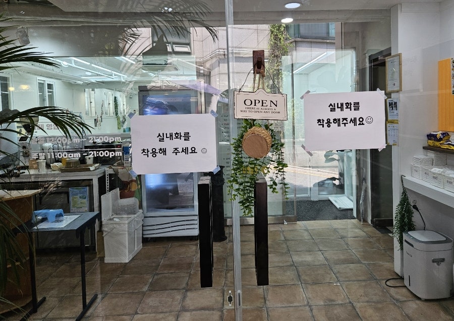 강남 강아지 유치원 독스아일랜드, 학동역 호텔링 비용 — 사진 5