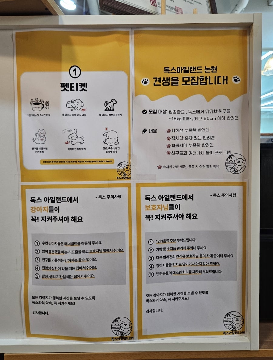 강남 강아지 유치원 독스아일랜드, 학동역 호텔링 비용 — 사진 6