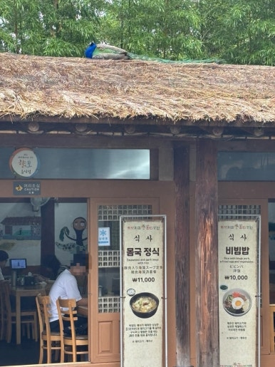 한림공원 돌하르방식당 사진 3