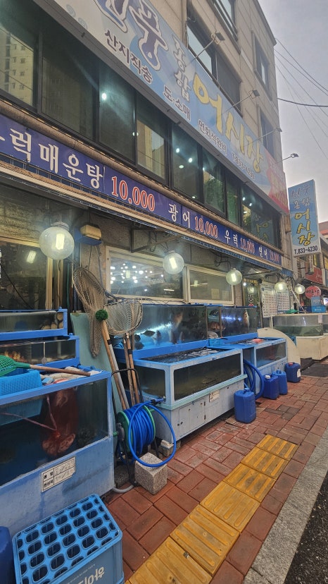 신풍종합어시장 사진 6