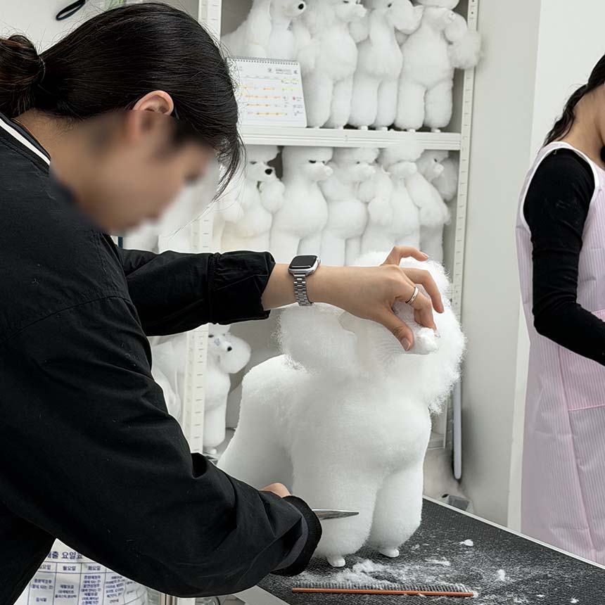 부산 강아지 위그 램클립 미용 마스터 과정 — 사진 2