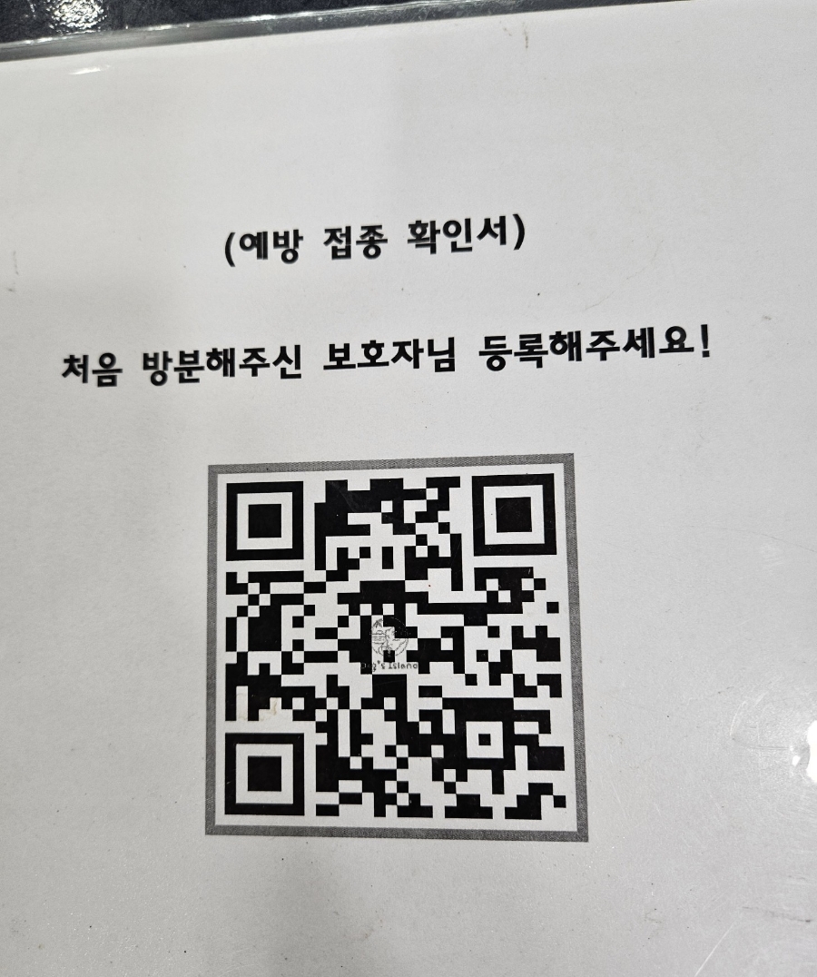 강남 강아지 유치원 독스아일랜드, 학동역 호텔링 비용 — 사진 12