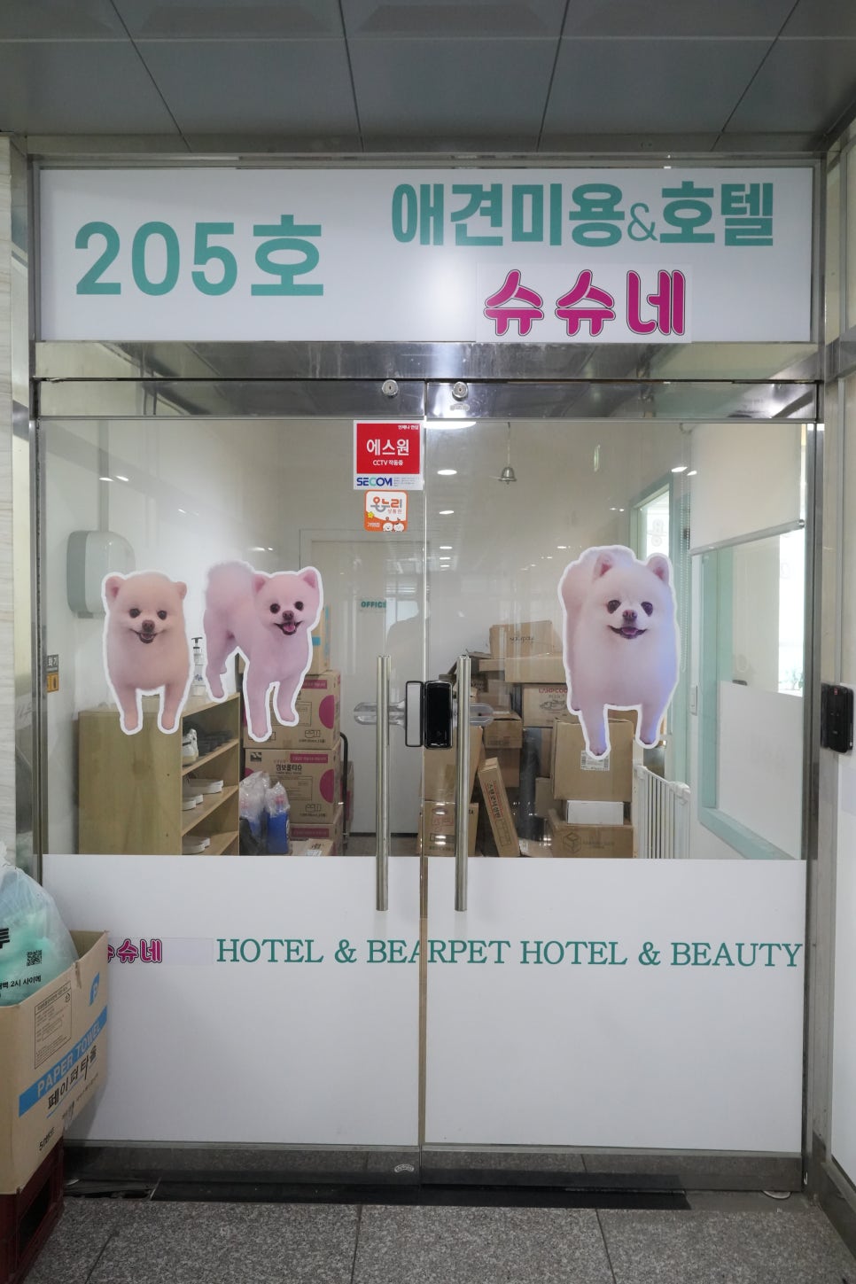 대구 애견호텔 슈슈네: 반려견 위탁 전 확인 기준 — 사진 3