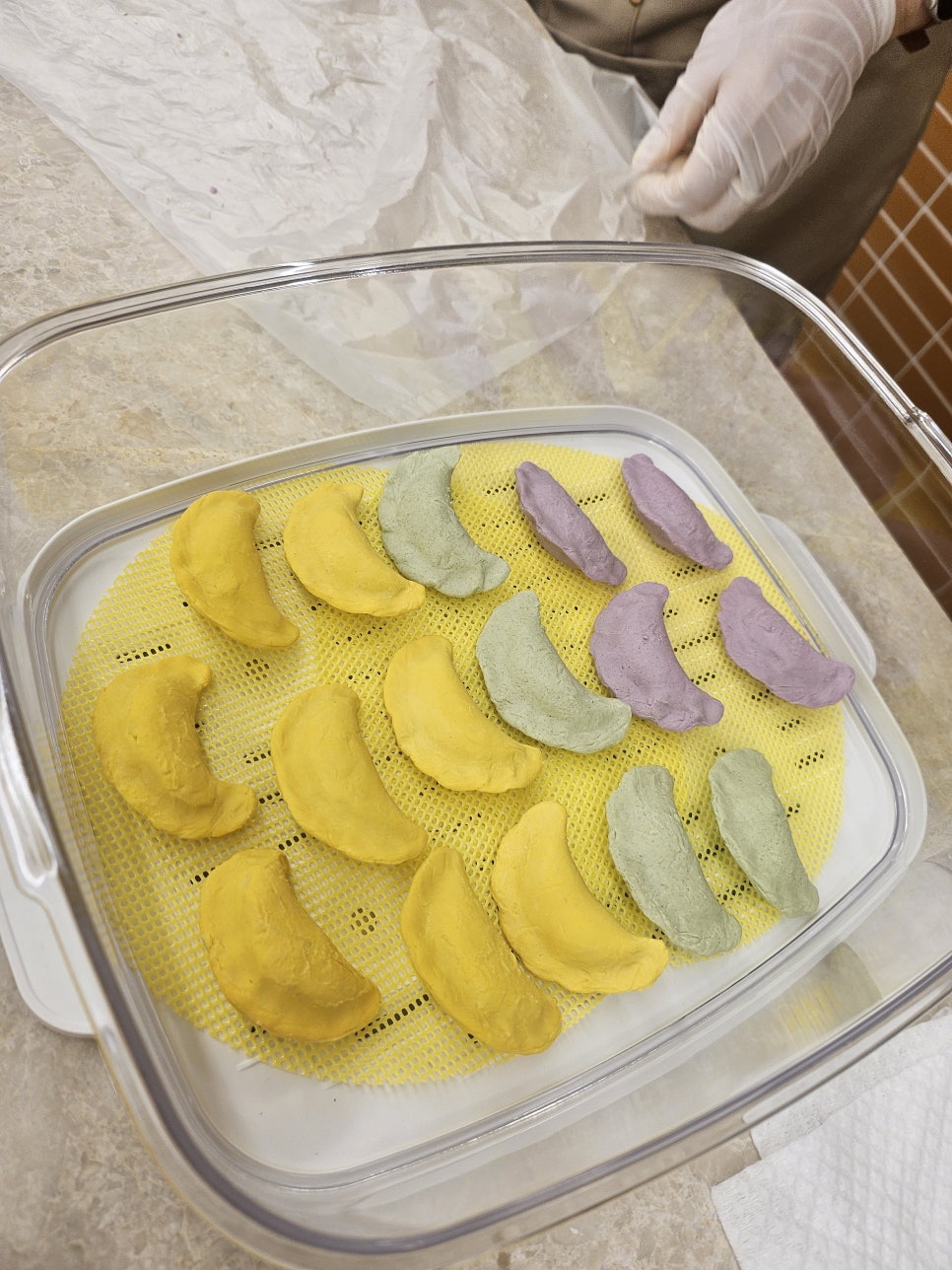 부평 강아지 수제간식 수업: 취미부터 창업까지 배우기 — 사진 8