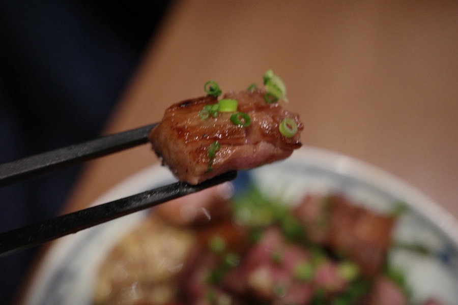 토리냥 사진 4