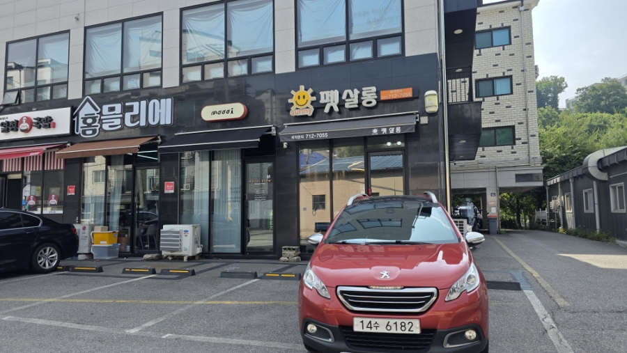 신현리 강아지 물개컷 미용, 써니펫살롱 후기 — 사진 2