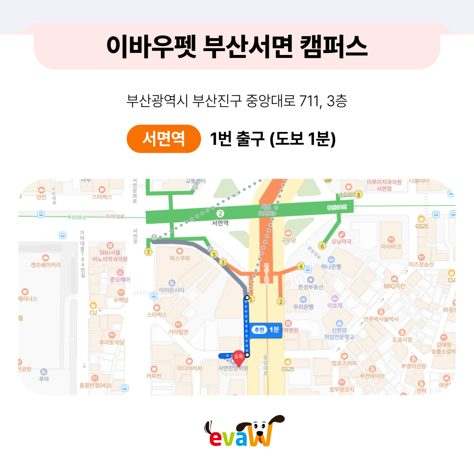 부산 서면 애견미용학원, 실견 실습 중심 선택 가이드 — 사진 12