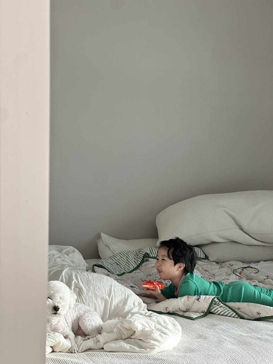 부산 명지 강아지 스케일링 비용 및 후기 | 국제동물병원 — 사진 8