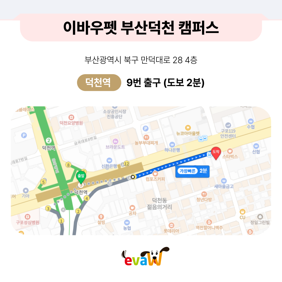 부산 서면 애견미용학원, 실견 실습 중심 선택 가이드 — 사진 13