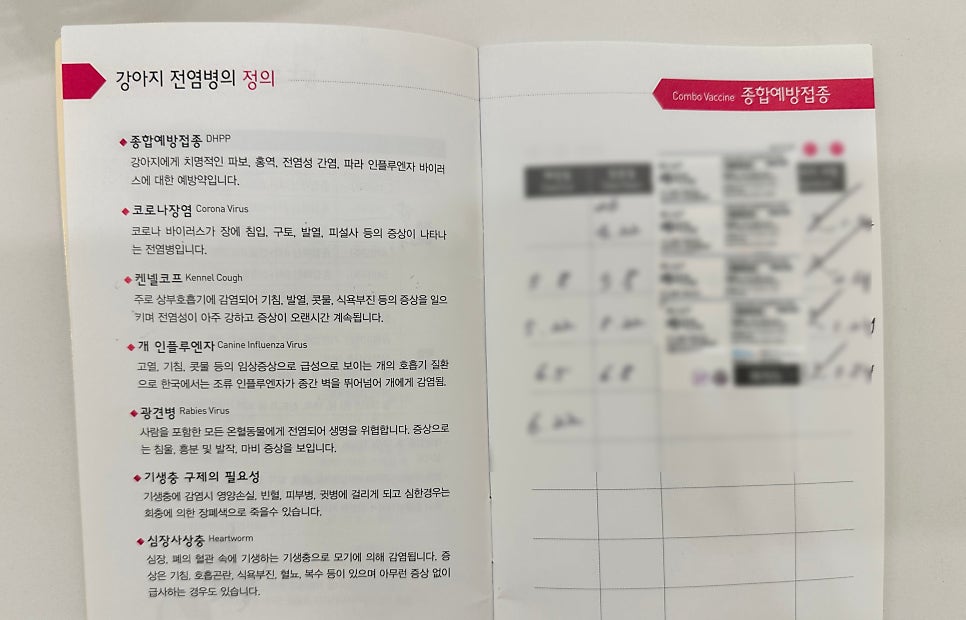 안양 애견호텔, 휴가철 예약 방법과 필수 준비물 총정리 — 사진 6