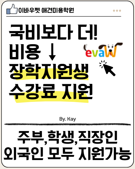 부산 서면 애견미용학원, 실견 실습 중심 선택 가이드 — 사진 11