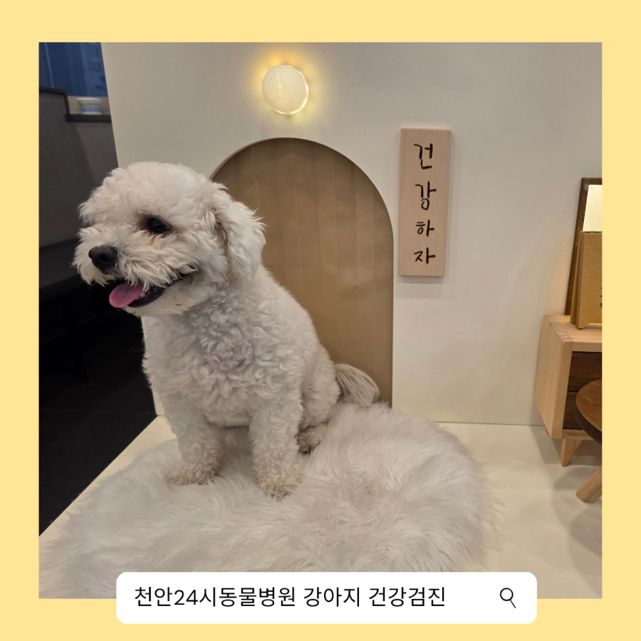 천안 스카이동물메디컬센터 강아지 건강검진 비용 및 후기