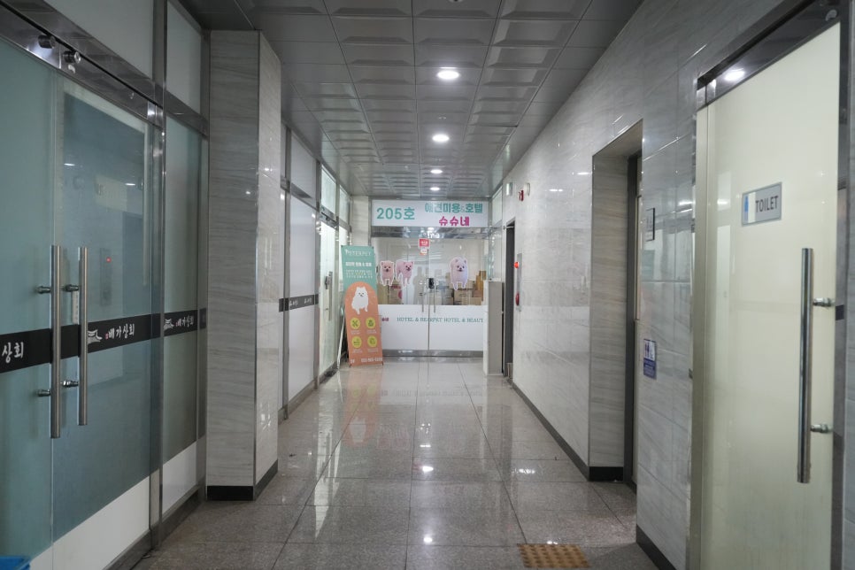 대구 애견호텔 슈슈네: 반려견 위탁 전 확인 기준 — 사진 2