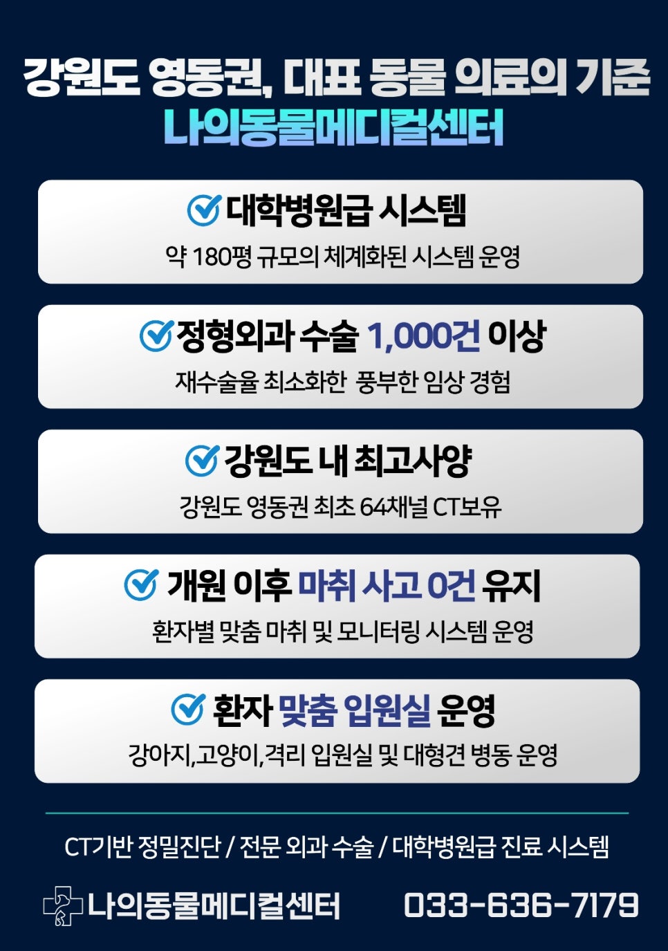 강릉 속초 고양이 종양 재발 수술, CT 정밀 진단 후기 — 사진 11