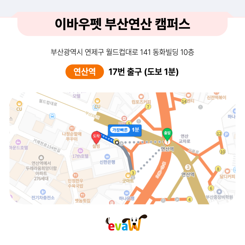 부산 서면 애견미용학원, 실견 실습 중심 선택 가이드 — 사진 14